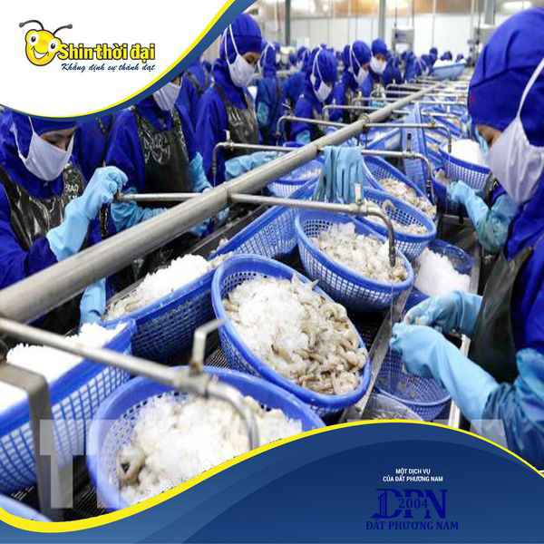 Sản phẩm Cung á»©ng lao Ä‘á»™ng CBTS nhÃ  mÃ¡y Docifish — Vệ Sinh Công Nghiệp - Công Ty Dịch Vụ Oshin Thời Đại — MST 1800569654
